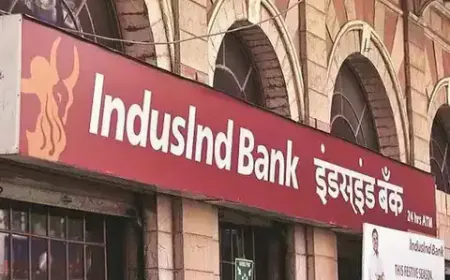 IndusInd Bank shares fell by 25% to 52-week low, know the reason for this big fall