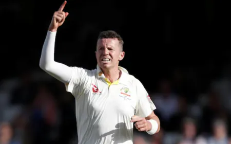Australian player Peter Siddle suddenly retired from all cricket formats