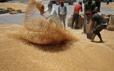 Traders will have to give information about wheat stock every week, government-issued official statement