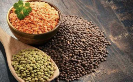 Central government engaged in filling food reserves, emphasis on pulses purchase; approval for gram purchase also