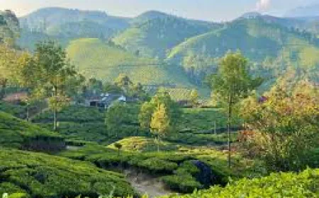 Places in India feel like a fairytale world, witness their magnificent beauty