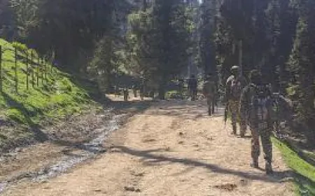 Big revelation on Pahalgam Attack, terrorist was earlier an SSG commando in Pakistan Army