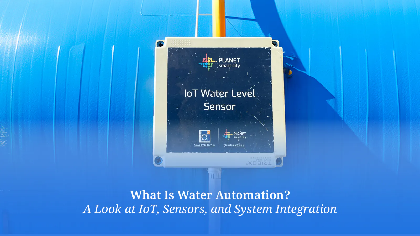 The Smart Approach to Saving Water and Money