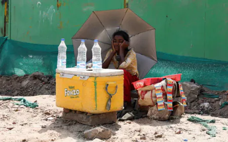 Rajasthan is facing severe heat, mercury crossed 47 in Pilani, red alert of heatwave issued