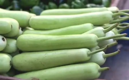 Do not eat these 3 things with gourd else they can cause great harm to health