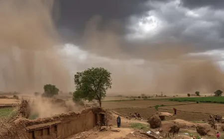Weather deteriorated in the state, trees and poles fell in many cities; Two died due to wall collapse in Bhiwadi