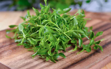 Know the right time to consume Watercress juice and get health benefits for these 6 diseases