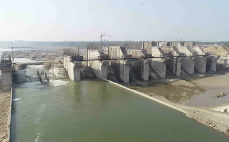 With Forest Department's NOC, an aqueduct will be constructed on Chambal in PKC-ERCP to supply water to Bisalpur and Isarda