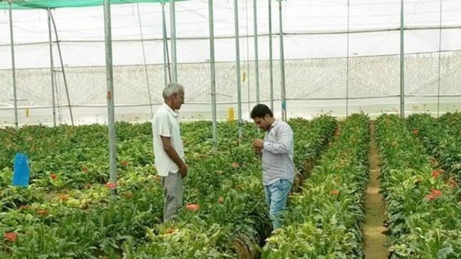 Agriculture Minister emphasized horticulture: 9 new plants will be set up in the country under the Clean Plant Program