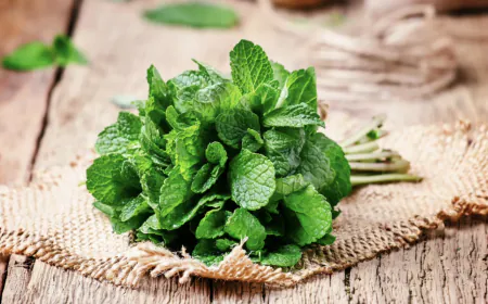 4 easy ways through which you can reduce belly fat by eating Mint