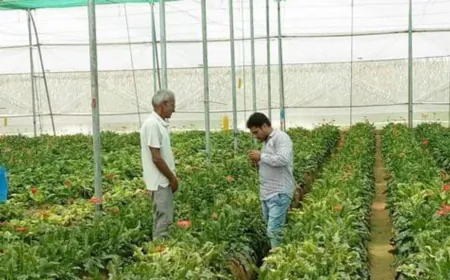Agriculture Minister emphasized horticulture: 9 new plants will be set up in the country under the Clean Plant Program