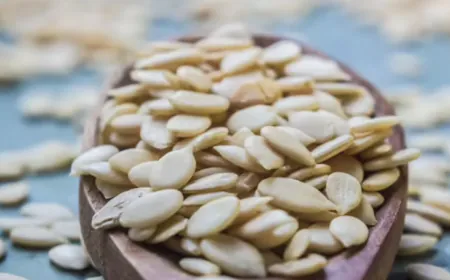 Consuming melon seeds can give you these 5 big health benefits; Know how