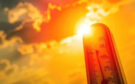 Severe heat wreaks havoc in Rajasthan, alert issued regarding heatwave, know when will there be relief?
