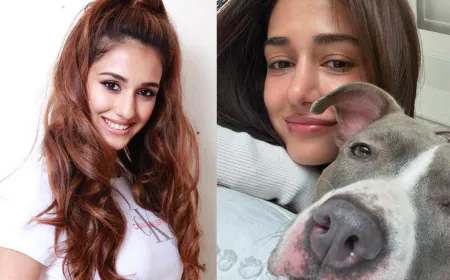 The Two Worlds of Disha Patani: From Red Carpet Glamour to Anime Marathons