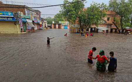 Monsoon's explosive entry, heavy rain alert in 8 districts of southern Rajasthan today