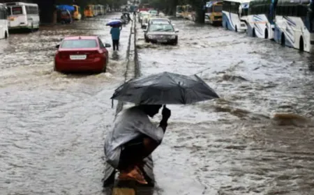 Heavy rain alert in 16 districts of Rajasthan, so far 133% more rain than usual