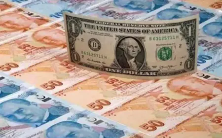 RBI reported that India's foreign exchange reserves fell by $1.01 billion, achieving $697.93 billion