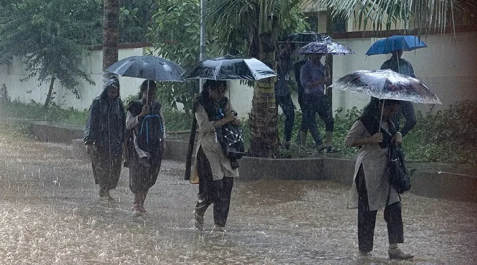Rain alert in 22 districts including Jaipur, warning of torrential in eastern parts