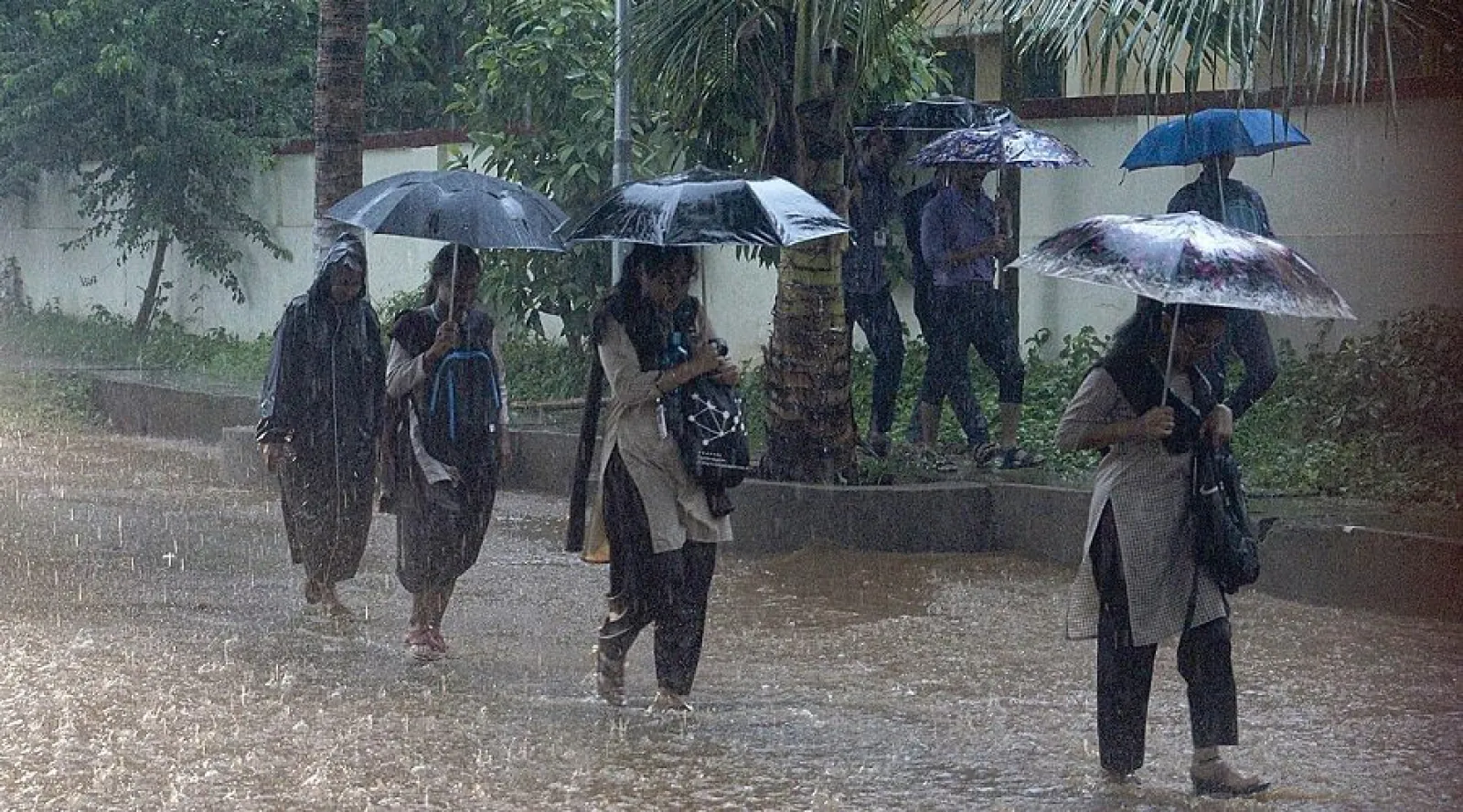 IMD issued Heavy rains alert in 11 districts of Rajasthan