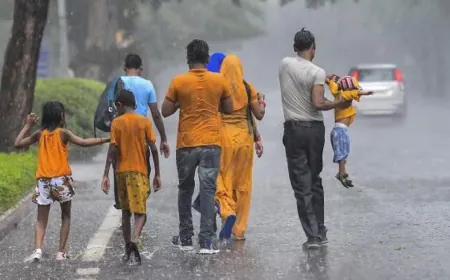 Alert in 29 districts today, heavy rain warning in 4 Rajasthan districts; New system will be active from July 2