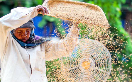 Average income per capita crosses $2000 in 112 rural districts, shopping will increase