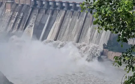 Rajasthan High Rain Warning: More than 30 dam gates opened