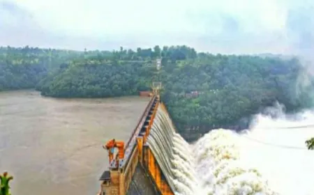 Heavy rain warning in seven districts, Chambal reaches near danger mark in Dholpur