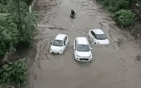 Heavy rain in Rajasthan, red alert in 29 districts, many areas submerged 