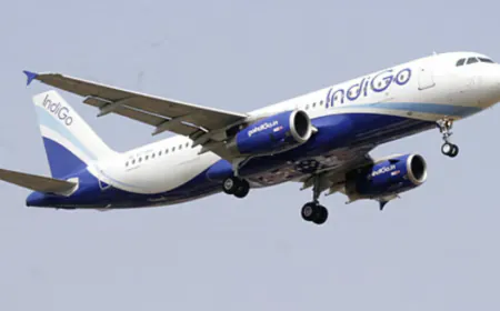 'Codeshare partnership between IndiGo and Turkish Airlines will continue', CEO Peter Albers announced