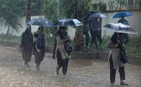 Rain alert in 22 districts including Jaipur, warning of torrential in eastern parts