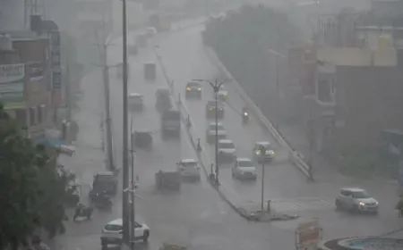 Monsoon got better in Rajasthan, red alert in Kota division, heavy rain warning