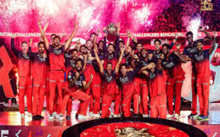 IPL's value took a big leap, RCB made huge profits, Punjab Kings also had a great time