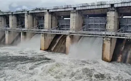 Rajasthan: Panchana dam overflows, two gates opened, appeal to stay away from river flow area