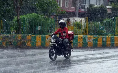 Rajasthan Monsoon Update: IMD issued an alert regarding monsoon