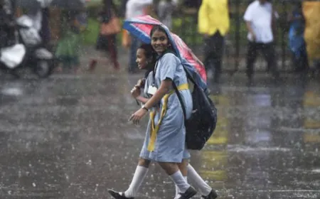 Heavy rain warning in six districts of the state, schools closed from class one to 8
