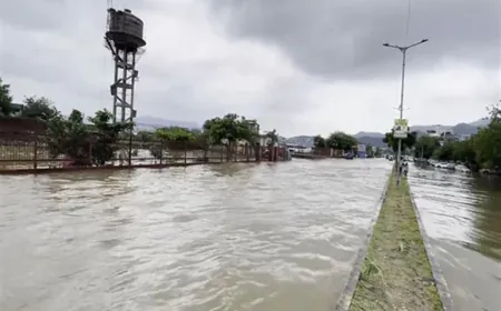 Heavy rains cause havoc in Ajmer, water filled in posh areas too; NDRF team engaged in relief work