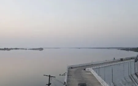 New overflowing in July record of Bisalpur Dam, got fully filled for the 8th time, gates to open at 10 am