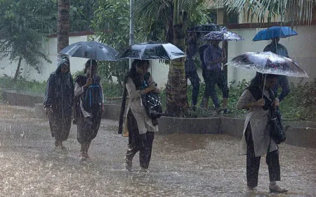 IMD issued Heavy rains alert in 11 districts of Rajasthan