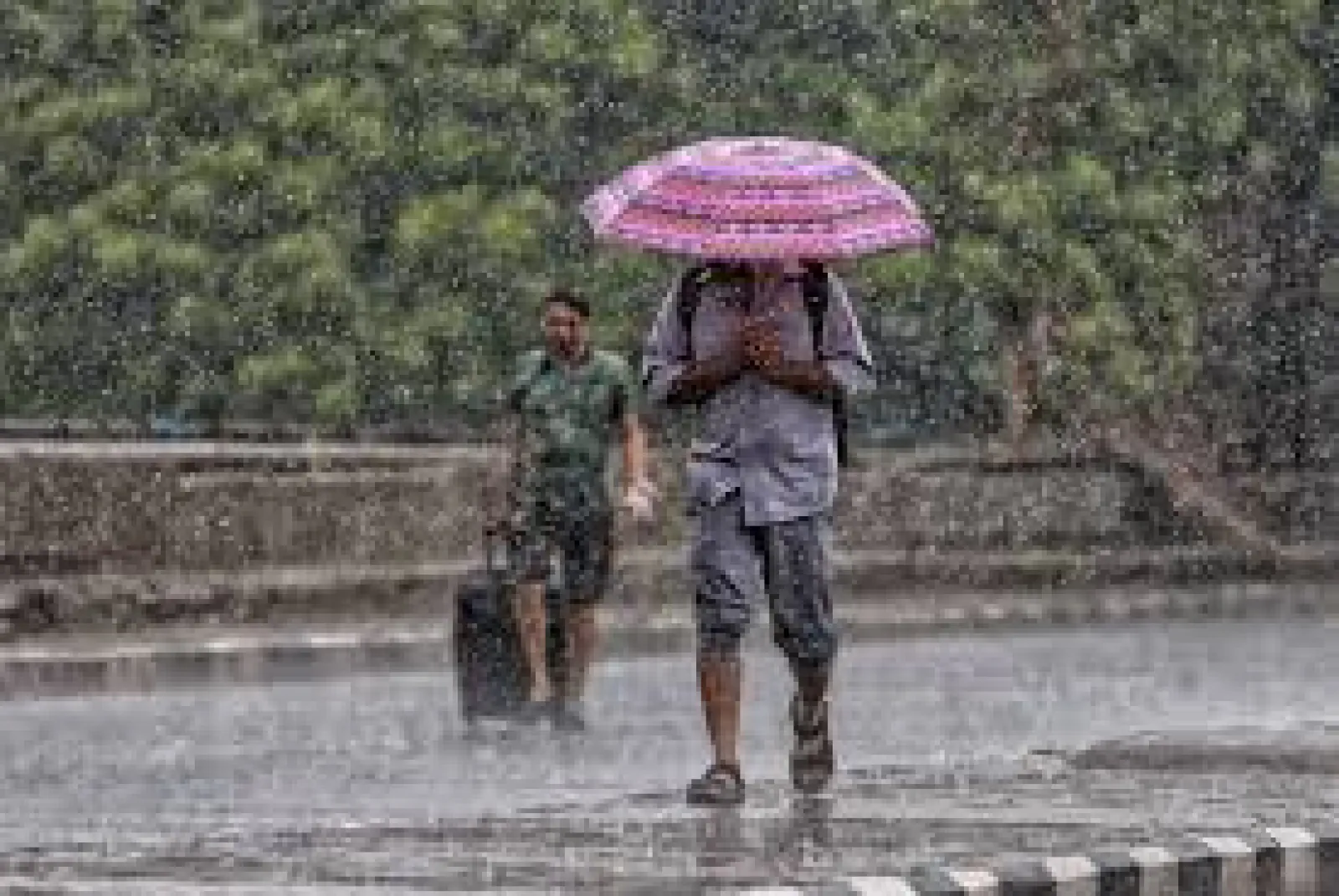 Heavy Monsoon Rains Expected in Rajasthan; IMD Issues Very Heavy Rain Alert for South Districts