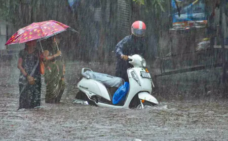 Relief from heavy rain, yellow alert in 5 districts; Schools closed in Jhalawar till August 6
