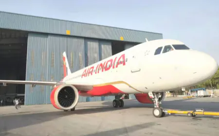 Airline clarified on complaint of cockroaches in Air India flight, third case of embarrassment in two days