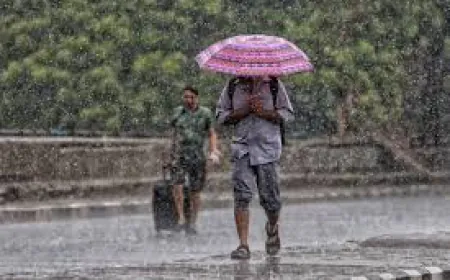 Heavy Monsoon Rains Expected in Rajasthan; IMD Issues Very Heavy Rain Alert for South Districts