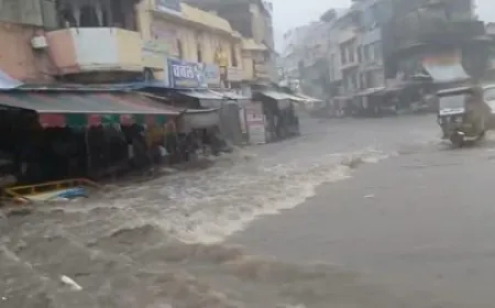 Situation is horrific in Rajasthan - 91 people have died so far in monsoon season