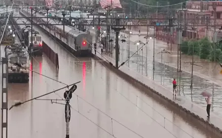 Rajasthan Floods Worsen: Orange Alert in 3 Districts, Dozens of Villages Submerged