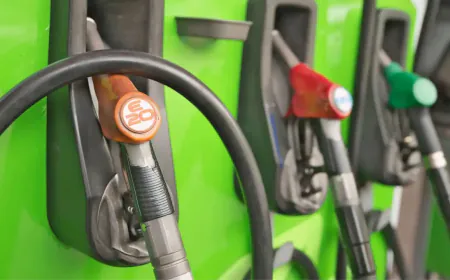 Renault India Assures: E20 Fuel Safe for E10-Compliant Vehicles