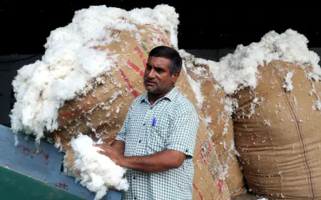 Deadline for import duty exemption on cotton extended till December 2025, temporary relief to textile industry facing tariffs