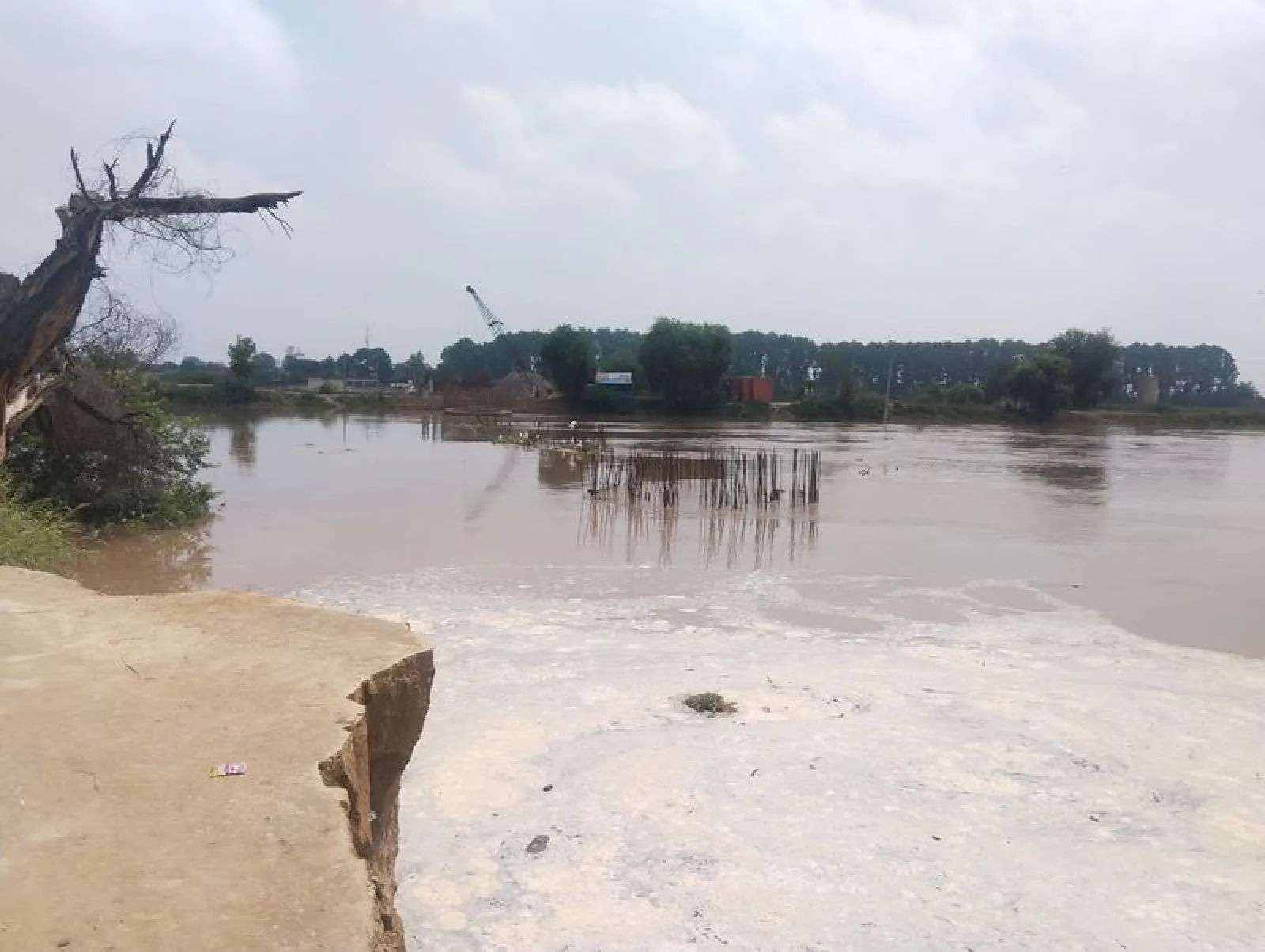 Ghaggar River Swells, Hanumangarh at Risk; CM Sharma Speaks to Punjab CM