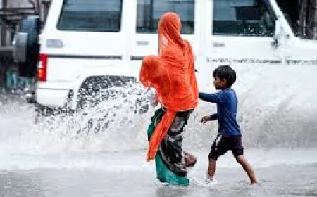 Orange and Yellow Alerts Across Rajasthan as Death Toll from Rains Crosses 190