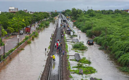 Rajasthan Weather Today: Monsoon active in southern districts of the state, 74mm of rain in Badi Sadri, Chittorgarh