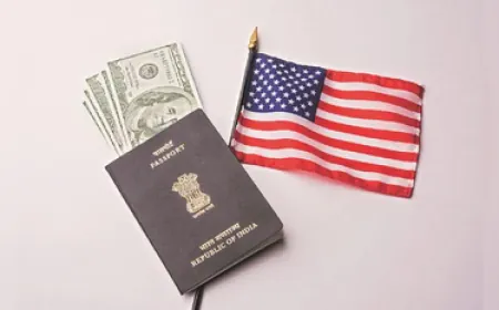 "Indian visa holders are the backbone of innovation and jobs in America," IndiaSpora's statement on Trump's decision